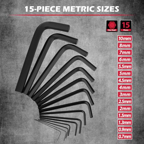 41-Piece Hex Key Allen Wrench Set, L Shape Hex and Torx Key Wrenches with Torque Handle | SAE(0.028"-3/8") | Metric(0.7mm-10mm) | Torx(T9-T50) in 3-Layer Storage Case, Heat Treated Cr-V Steel
