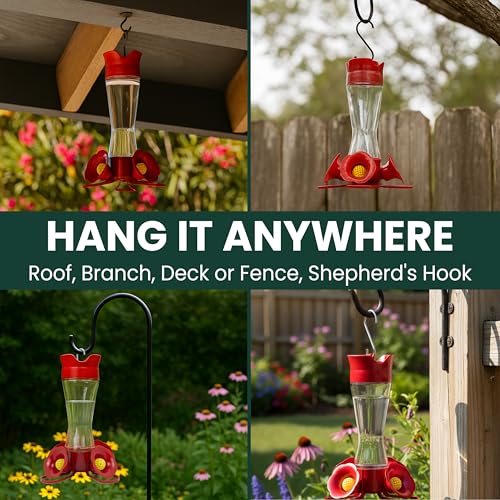 Perky-Pet 203CPBN Outdoor Pinch Waist Glass Garden Décor Hummingbird Feeder image 6