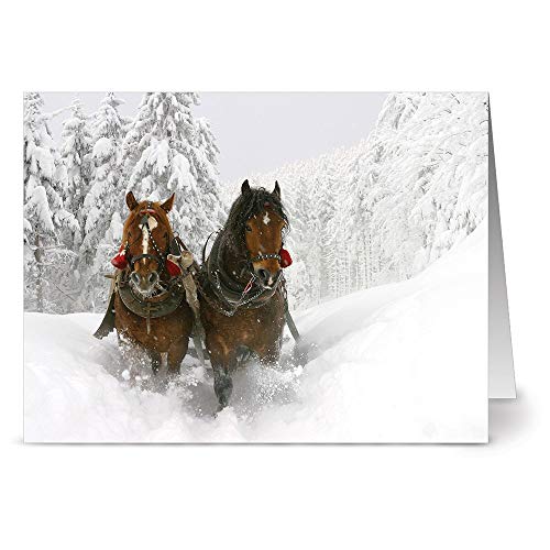 Note Card Cafe Christmas Card Assortment With Red Envelopes | 72 Pack | Winter Greetings | Blank Inside, Glossy Finish | Set For Holidays, Winter, Gifts, Presents, Secret Santa, Work Parties #TOP2