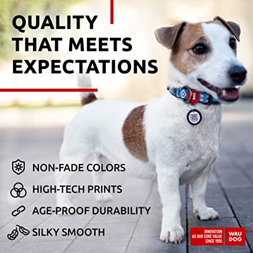 WAUDOG Verstellbares Welpenhalsband für kleine Hunde – Hundehalsband Jungen und Mädchen Nylon-Welpenhalsband Welpenhalsbänder große Rassen (Ethno Blue, 24,5 cm 34,5 Halsumfang)