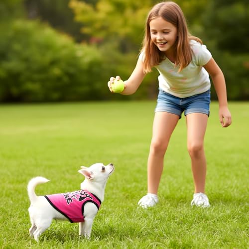 4 Stück Chihuahua-Kleidung, süße Hundehemden Mädchen, für kleine Hunde, weich, bequem, rosa, XXS, Hundekleidung, Haustierkleidung, Hemd für Teacup-Hunde, Yorkies, Welpen, Kätzchen