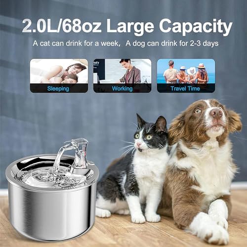 Fuente automática de agua para gatos acero inoxidable 2L miniatura 4