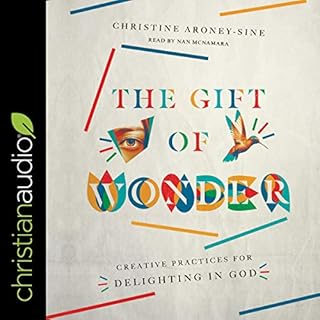 The Gift of Wonder Audiolibro Por Christine Aroney-Sine arte de portada