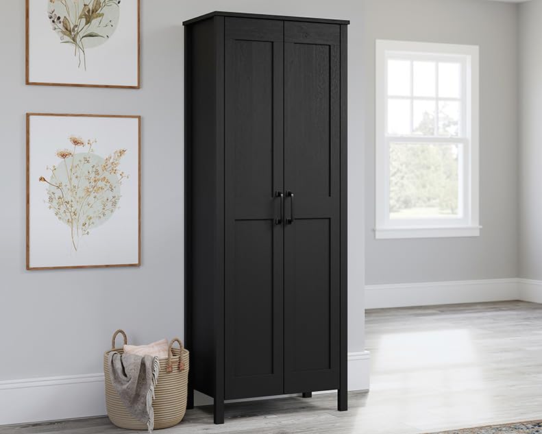 Image of Sauder Select Two-Door Storage Cabinet, Versatile Home Storage Solution, Raven Oak Finish