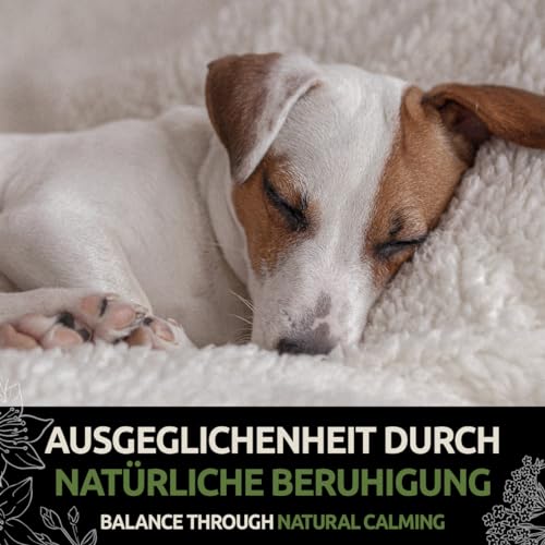 GreenPet Relax Me 120 Tabs – Beruhigungsmittel für Hunde als Snacks mit Baldrian & Johanniskraut, bei Angst, Stress, Autofahrt & Reise – Zur natürlichen Beruhigung & Entspannung