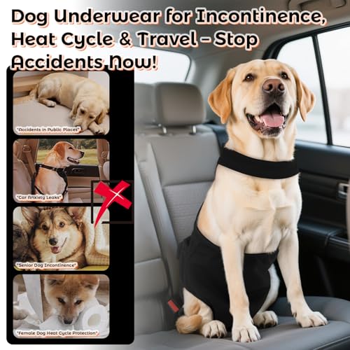 Image of QBLEEV Female Dog Diapers with Adjustable Suspenders - Washable Sanitary Panties for Dogs in Heat or Incontinence, Escape-Proof Reusable Pet Period Underwear Onesie for Small to Large Breeds