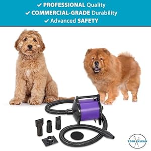 Gustyair mini dog blow dryer  professional commercial grade force dryer for groomers  quiet high velocity air dryer hose attachments variable speed no heating element  usa company  purple   cucciolini doodles