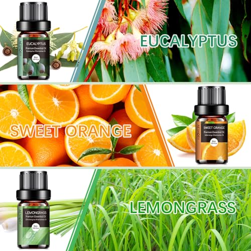 Miniatura 3 de Aeshory Aceites Esenciales Para Humidificador Top 6 X 10ml, Aceite Aromáticos Natural, Set De Aceites Esenciales Aromaterapia Para Difusor, Spa - Lavanda, Menta, Árbol De Té, Eucalipto, Naranja Dulce