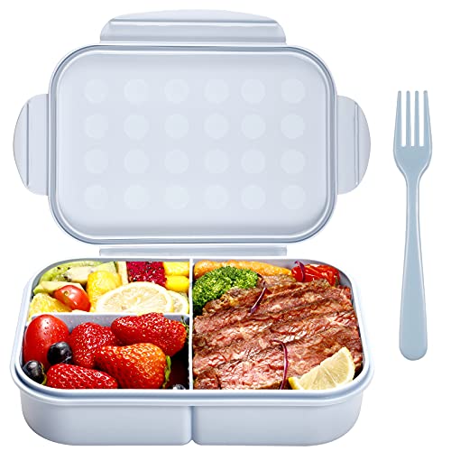 Best Lunch Box Canada Best Cost