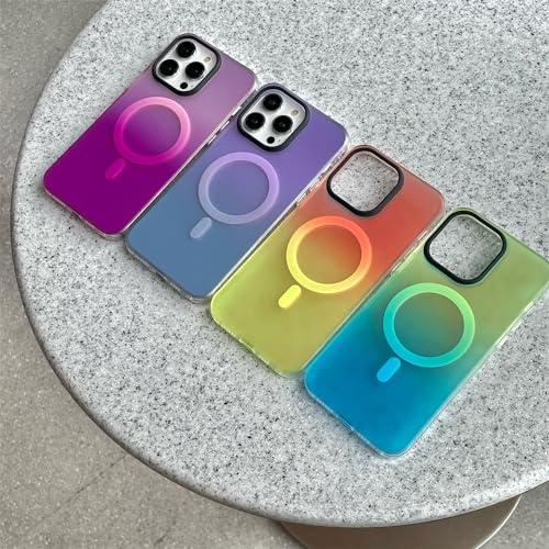 Coque de luxe magnétique pour iPhone 12 Pro Max contre les rayures - 5