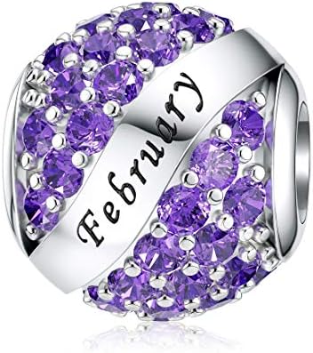 JIAYIQI February Birthstone Charms for Pandora Charms Bracelet- 925 Sterling Silver Bead Openwork Charms, Happy Birthday Charms for Bracelet and Necklace