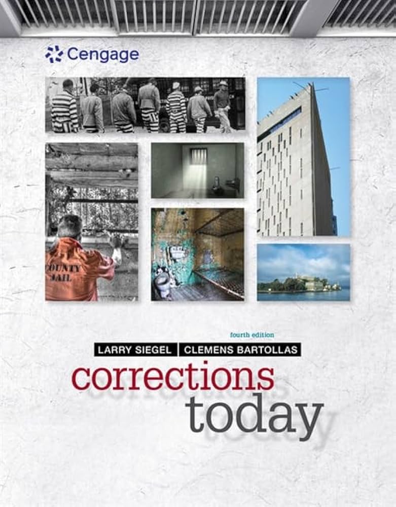 (未使用･未開封品)Investigative Reports: Stolen Identities [DVD] Corrections Today: Siegel, Larry: 9781337091855: Amazon.com
