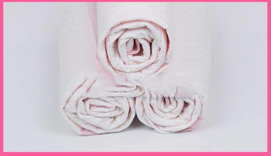 Tapis de Dressage pour Animaux de Compagnie Jetable Lapin Pee Pad 100 Tapis Éponge de Désodorisation D'absorption d'eau pour Chien