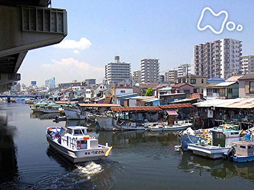 「子安浜哀歌（エレジー）～横浜市～」のサムネイル