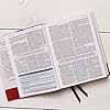 NKJV, MacArthur Study Bible, 2nd Edition, Leathersoft, Brown, Comfort Print: Unleashing God's Truth One Verse at a Time #2