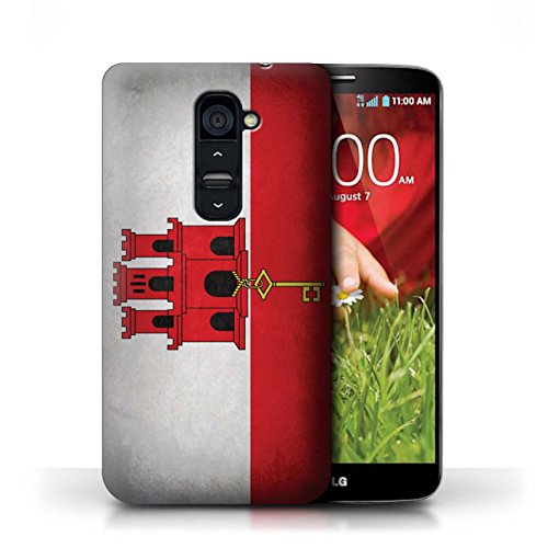 Bits4urGadgets Custodia per LGG2/Flag Collection