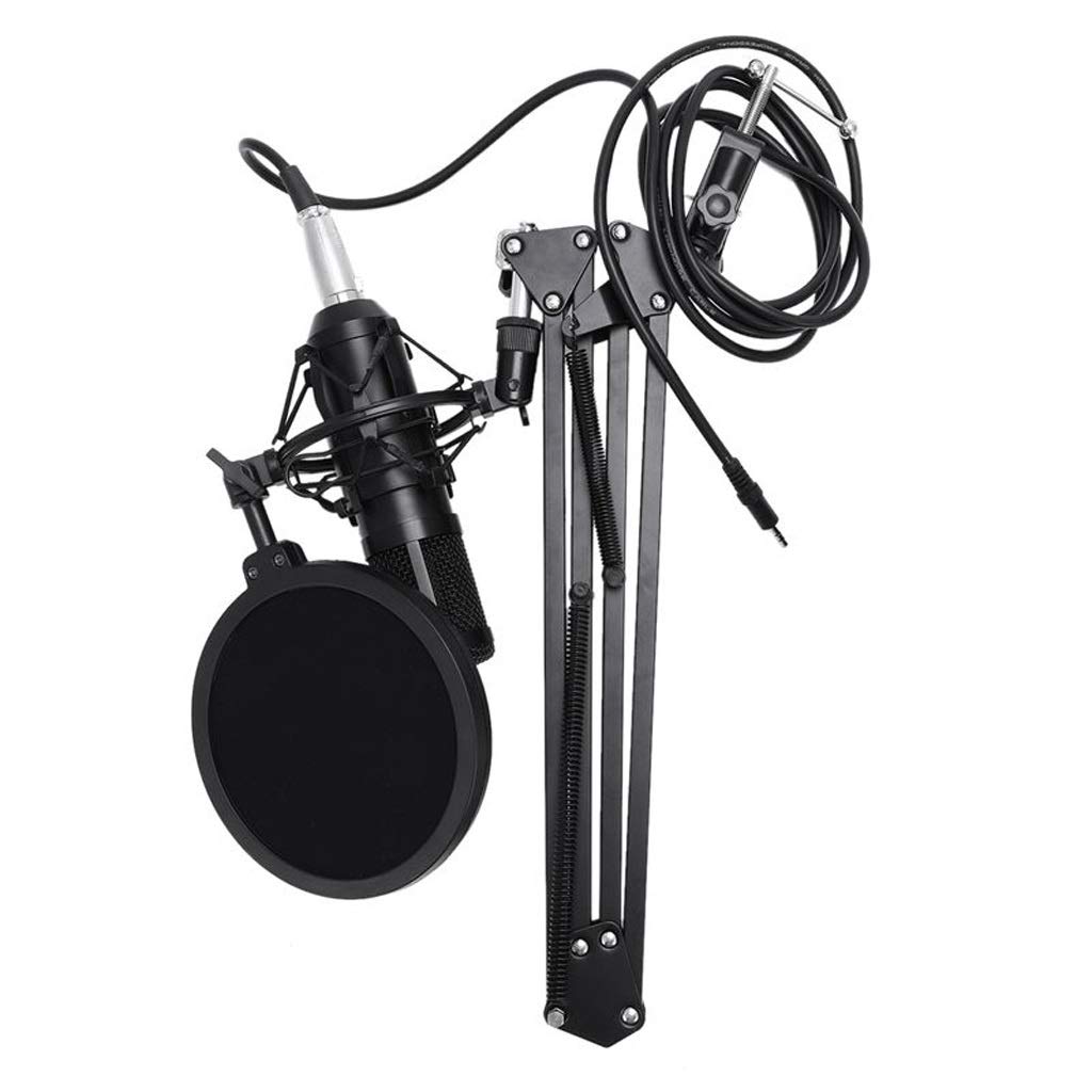 Microphone de studio complet avec alimentation fantôme pour sessions KTV à la maison
