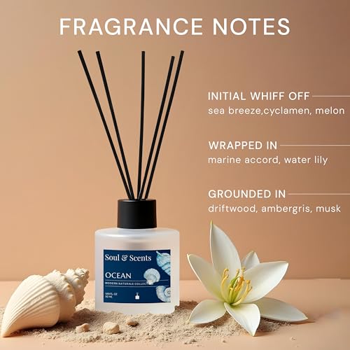 Image of Soul & Scents 50ml Ocean Reed Diffuser Set | A Blend of Sea Breeze, Melon & Driftwood | Get 5 Rattan Reed Sticks | Smoke Less Room Freshener for Home, Bedroom, Living Room & Office