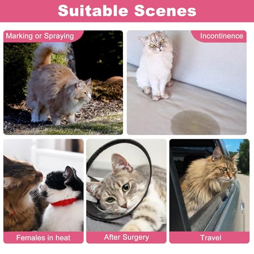 Image of Disposable Cat Diapers, 40 Count - Perfect for Both Male and Female Cats, for Elderly, (L) Incontinent, or Post-Surgery Cats and Dog - Leak-Proof, Super Absorbent & Hypoallergenic Pet Diapers