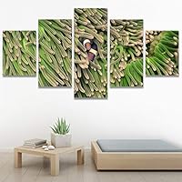 SIGNWIN 5 Panel Canvas Wall Art Modern Art Dramatic Fish Jellyfish Marine Life Multicolor Nautical Photography for Home Decorations Ready to Hang - 60