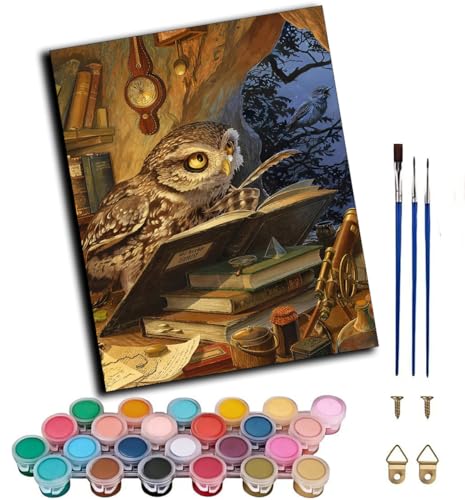 WANGWANGMIAO Dipinto per numero adulto,Libro di lettura sugli animali gufi Kit di pittura a olio su tela fai da te per principianti con pennello pigmento acrilico 50x40cm senza cornice