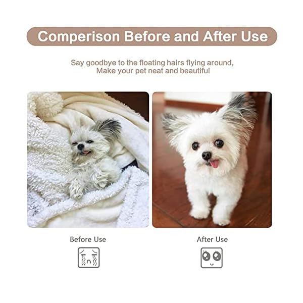 MCSWSEE Haarbürste für Haustiere, Bürste für Hunde und Katzen, Haarbürste für Katzen, Hunde, Kaninchen und kleine Tiere – Bild 6