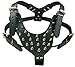 Leather Spiked Dog Harness Large Black 26"-34" Chest, 28 Spikes Pit Bull, Boxer, Bull Terrier