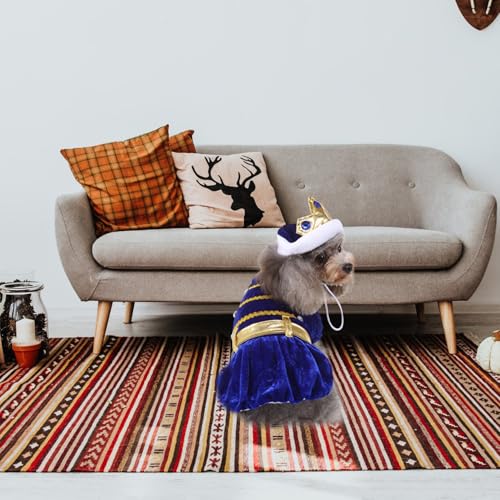 Disfraz para perro Halloween azul tamaño pequeño miniatura 7