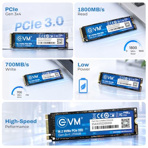 EVM Store EVM 256GB NVMe Gen 3x4 Internal SSD (2280) - Image 3