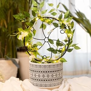 2 pcs 14in indoor metal garden circle plant trellis for houseplant climbing pot plants black style a  urban country home decor