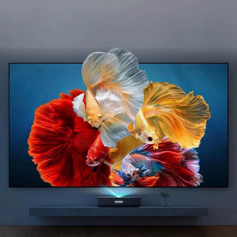 Pantalla de proyección fija GenSDH 100 pulgadas miniatura 6