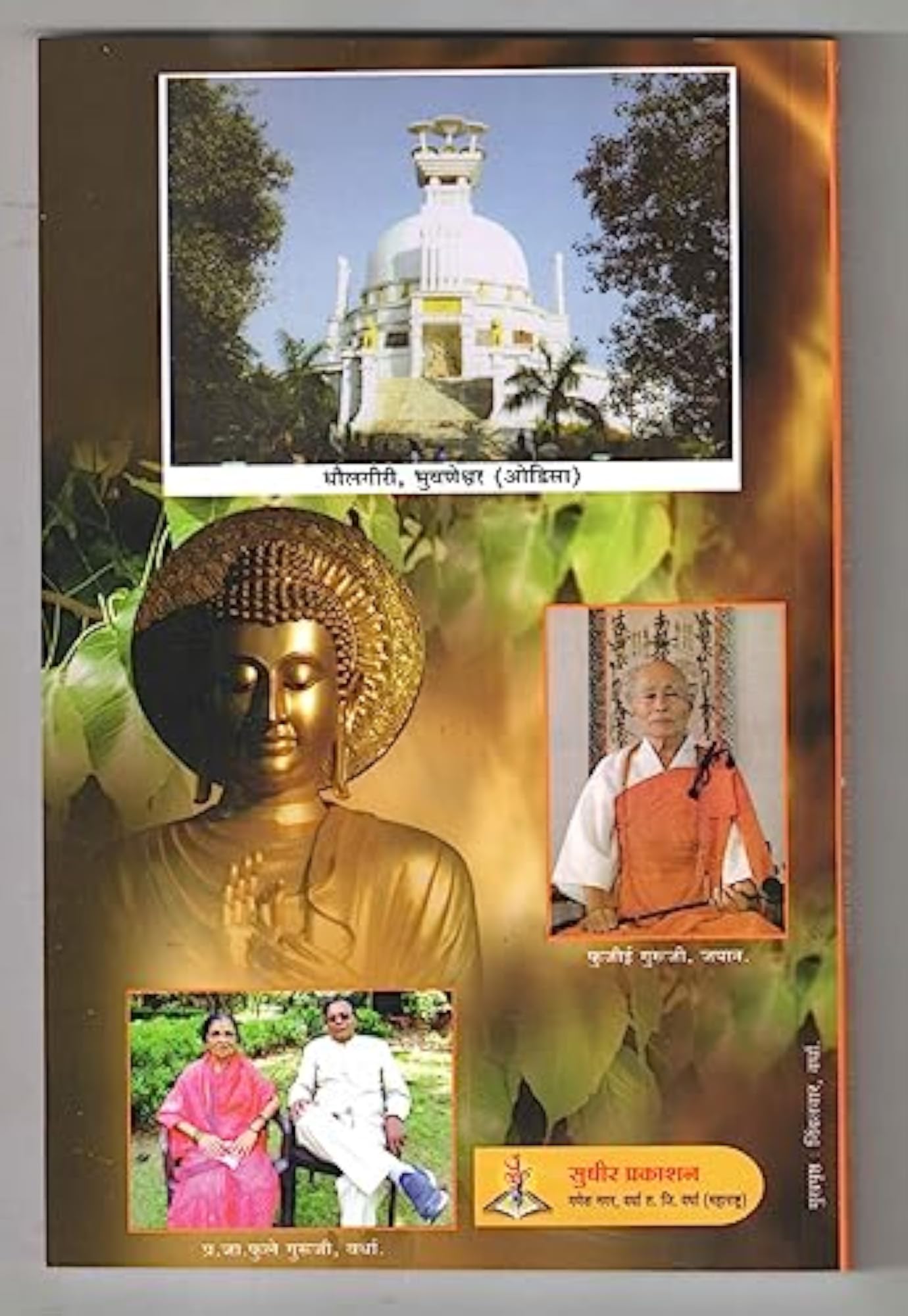 Samrat Ashok Aur Arya Anarya Sanskriti Ka Itihas (Hindi)