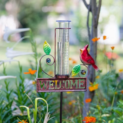Stargarden Medidor de lluvia para exteriores, medidor de lluvia cardenal de metal, medidor de lluvia con tubo de plástico de 7 pulgadas, medidor de lluvia decorativo para patio, jardín, césped, camino