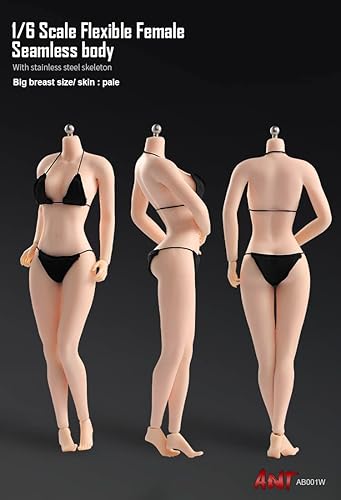 Miniatura 9 de Figura miniatura de cuerpo femenino a escala 16, modelo de 12 pulgadas, piel pálida, cuerpo súper flexible, 28 articulaciones, figura de acción de