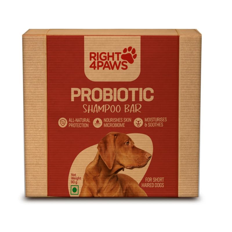 See full amazon price history chart for RIGHT4PAWS 90g Dog Shampoo Bar - Probiotic Shampoo Bar Soap for Short Haired Dogs with 100% Effective No Harmful Chemicals, Helps Maintain Overall Skin Health, 100% Natural, No Synthetic Additives RIGHT4PAWS 90g Dog Shampoo Bar - Probiotic Shampoo Bar Soap for Short Haired Dogs with 100% Effective No Harmful Chemicals, Helps Maintain Overall Skin Health, 100% Natural, No Synthetic Additives (B0B2BS126X) Amazon Price History, Amazon Price Tracker