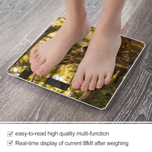 Báscula Digital de Baño con Pantalla LED y Plataforma de Vidrio Templado miniatura 5