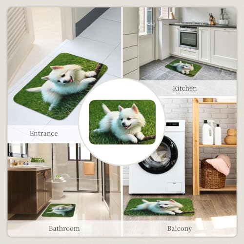 Tapis de sol antidérapant 40 x 60 lavable et résistant pour l'entrée - 8