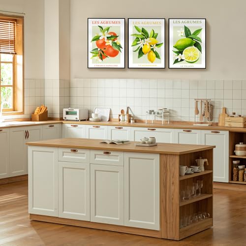 SERIMINO Fruit Botanical Wall Art for Kitchen, Lemon Prints Framed Canvas Wall Decor for Floral Dining Room Farmhouse, Watercolor Paintings Room Decor Aesthetic 3 Piece Set, 20"X28"