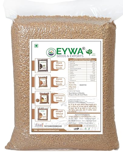 Image of Organic Sarbati Wheat Grains Seeds (5 Kgs) | For Farming, Sowing & Agriculture Use | Produce of India | 100% Natural & Non-GMO | By Eywa