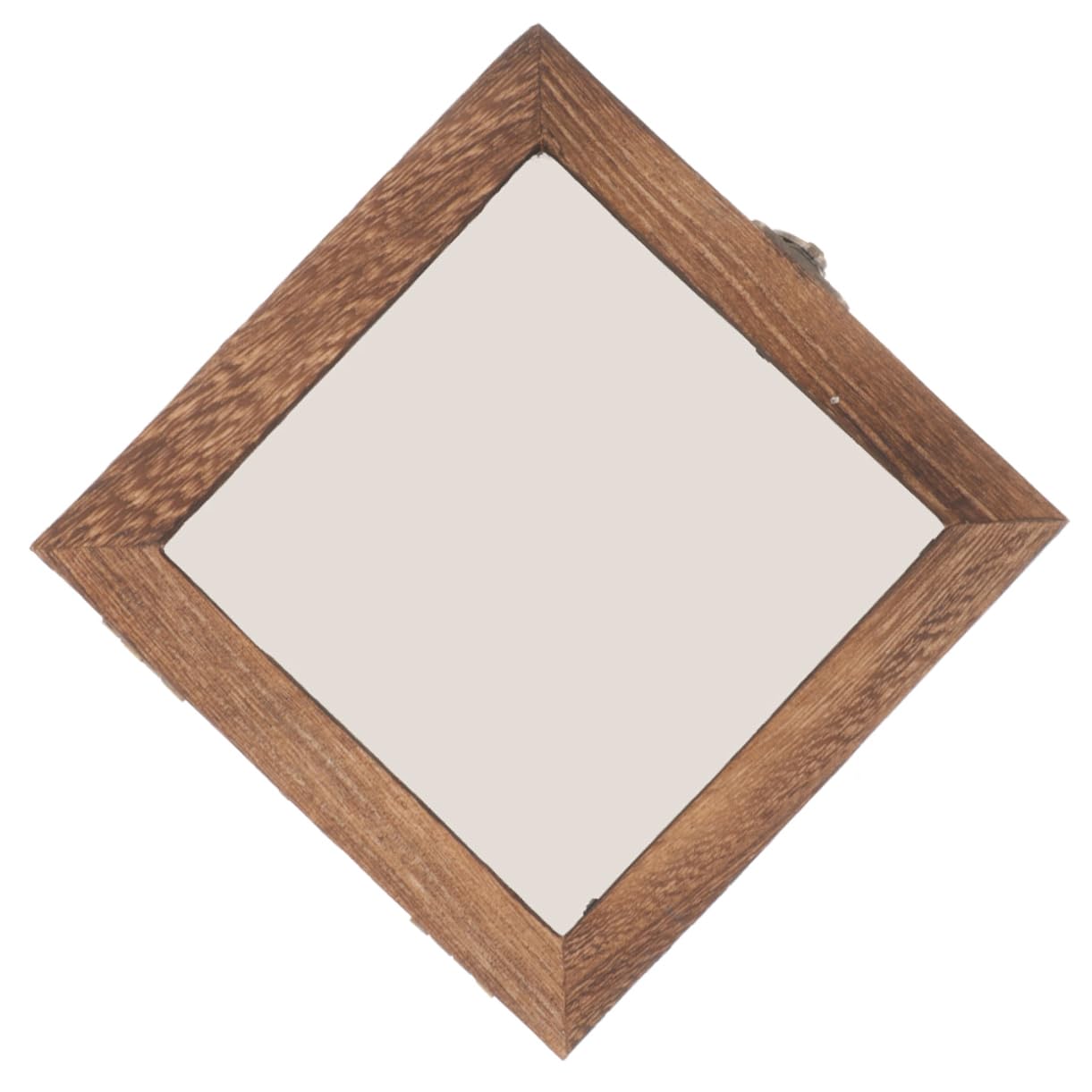 Cabilock Vintage Butterfly Specimen Display Box Insect Specimen Case Plant Specimen Box