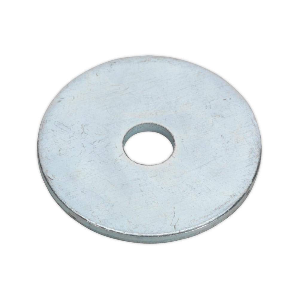 Sealey Silver Rw525 Repair Washer M5 X 25Mm Zinc Plated Pack Of 100