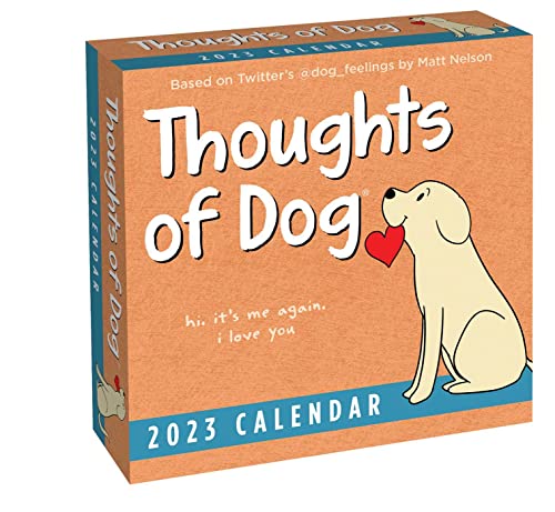 comparison-of-best-funny-desk-calendars-2023-reviews
