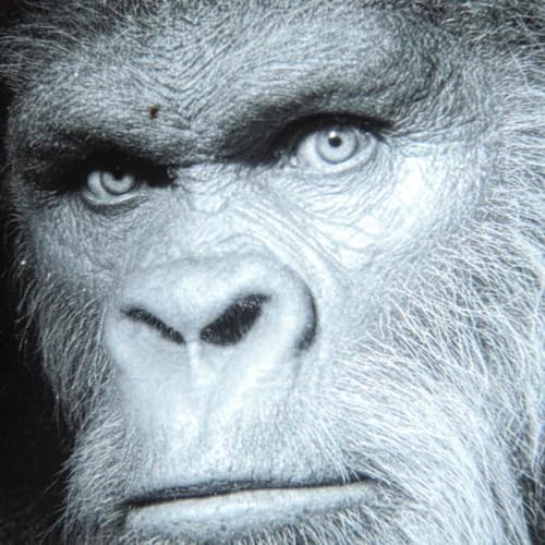 『'I Was Sent To Hunt Down Bigfoot' - Pilot's Terrifying Sasquatch Encounter Story』のカバーアート