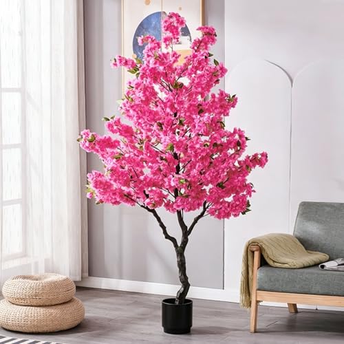 観葉植物 桜 鉢植え」の人気商品一覧 | 安い商品を通販サイトから探す