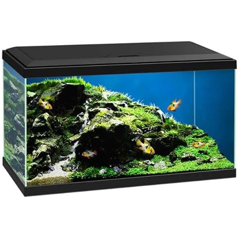Love Aquatics 60L Tropical Glass Aquarium Cover