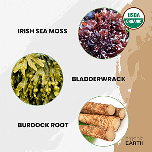 Organic Earth Wildcrafted Sea Moss Powder 8oz with Bladderwrack & Burdock — view 7
