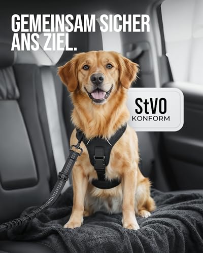 ZAUBERPFOTE Hundegurt 'Argo‘ fürs Auto – Verstellbarer Sicherheitsgurt mit Rückdämpfung & ISOFIX Anschluss – Anschnallgurt für alle Hunderassen (Schwarz, Gr. L)
