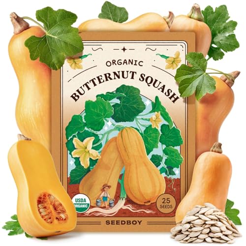 Seedboy Organic Winter Squash Seeds for Planting Indoor and Outdoor, Non-GMO and USDA Certified Vegetable Seed Packet for Hydroponic Garden Indoor or Planting Outdoors (Butternut Squash)