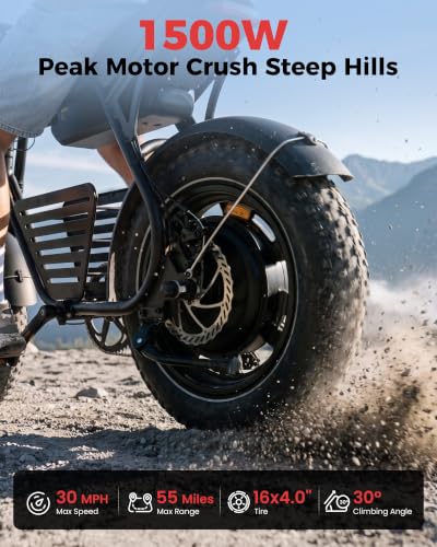 Image of Electric Bike for Adults, 𝟯𝟬𝟬𝟬𝗪 /1500W Peak Motor, 48V 13Ah / 25Ah