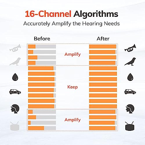 Hionec Rechargeable Hearing Aids With Noise Cancelling For Seniors & Adults,16-Channel Digital Ric Hearing Amplifier, 90 Hrs Of Use With Charging Case, Reduce Feedback, 6 Sizes Of Eartips, 3 Modes, Invisible & Comfortable, Great Assist Devices For Tv And Conversation #TOP5